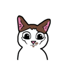モコちゃん_（個別スタンプ：3）