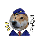 くうちゃん  柴犬（個別スタンプ：2）