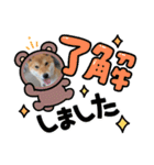 くうちゃん  柴犬（個別スタンプ：9）
