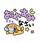 くうちゃん  柴犬（個別スタンプ：12）