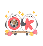 くうちゃん  柴犬（個別スタンプ：14）