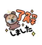 くうちゃん  柴犬（個別スタンプ：23）
