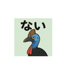 かわいいパプアヒクイドリの日常（個別スタンプ：16）