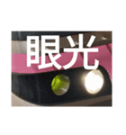 7000形のスタンプ（個別スタンプ：3）
