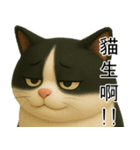 3D牛柄キャット（大頭版）（個別スタンプ：21）