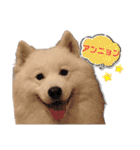 SKI沼スタンプ(日常編)（個別スタンプ：1）