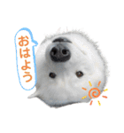 SKI沼スタンプ(日常編)（個別スタンプ：2）