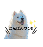 SKI沼スタンプ(日常編)（個別スタンプ：4）