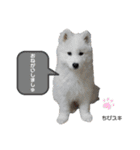 SKI沼スタンプ(日常編)（個別スタンプ：15）