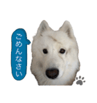 SKI沼スタンプ(日常編)（個別スタンプ：16）