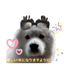 SKI沼スタンプ(日常編)（個別スタンプ：38）
