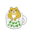 敬語でオトナにゃんこたちのスタンプ（個別スタンプ：1）