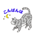 敬語でオトナにゃんこたちのスタンプ（個別スタンプ：3）