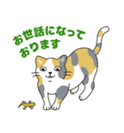敬語でオトナにゃんこたちのスタンプ（個別スタンプ：6）