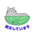 敬語でオトナにゃんこたちのスタンプ（個別スタンプ：10）