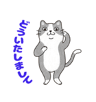 敬語でオトナにゃんこたちのスタンプ（個別スタンプ：19）