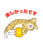 敬語でオトナにゃんこたちのスタンプ（個別スタンプ：21）