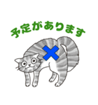 敬語でオトナにゃんこたちのスタンプ（個別スタンプ：24）