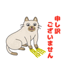 敬語でオトナにゃんこたちのスタンプ（個別スタンプ：27）