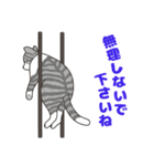 敬語でオトナにゃんこたちのスタンプ（個別スタンプ：34）