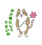 敬語でオトナにゃんこたちのスタンプ（個別スタンプ：35）