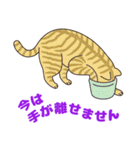 敬語でオトナにゃんこたちのスタンプ（個別スタンプ：37）