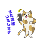 敬語でオトナにゃんこたちのスタンプ（個別スタンプ：38）