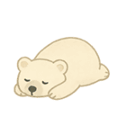 くまくまの毎日メモ（個別スタンプ：24）
