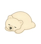 くまくまの毎日メモ（個別スタンプ：26）