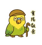 怠け者のオウム：祭りと株式市場の日刊（個別スタンプ：11）