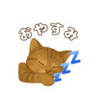 キジトラの子猫（挨拶編）（個別スタンプ：3）
