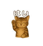 キジトラの子猫（挨拶編）（個別スタンプ：5）