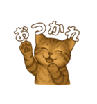 キジトラの子猫（挨拶編）（個別スタンプ：6）