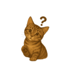 キジトラの子猫（挨拶編）（個別スタンプ：14）