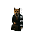限界リーマン柴犬（個別スタンプ：5）