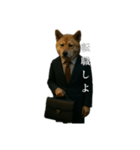 限界リーマン柴犬（個別スタンプ：7）