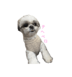 おこげと笑吉（個別スタンプ：1）