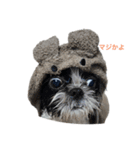 おこげと笑吉（個別スタンプ：4）