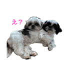 おこげと笑吉（個別スタンプ：7）