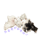 おこげと笑吉（個別スタンプ：8）