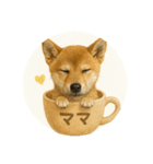 顔だけは可愛い柴犬なつ（個別スタンプ：1）