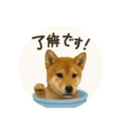 顔だけは可愛い柴犬なつ（個別スタンプ：12）