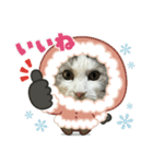 我が家の猫（part16）（個別スタンプ：4）