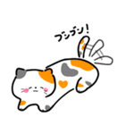 毎日かわいいねこさんズ（個別スタンプ：1）