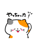 毎日かわいいねこさんズ（個別スタンプ：2）