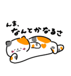 毎日かわいいねこさんズ（個別スタンプ：3）