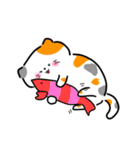 毎日かわいいねこさんズ（個別スタンプ：4）