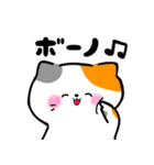 毎日かわいいねこさんズ（個別スタンプ：5）