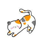 毎日かわいいねこさんズ（個別スタンプ：8）