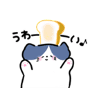 毎日かわいいねこさんズ（個別スタンプ：11）